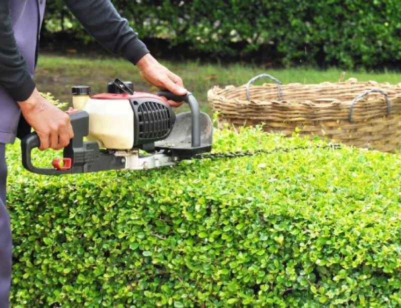 top tree shrub care salina ok