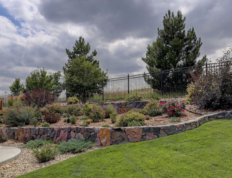 affordable tree shrub care salina ok
