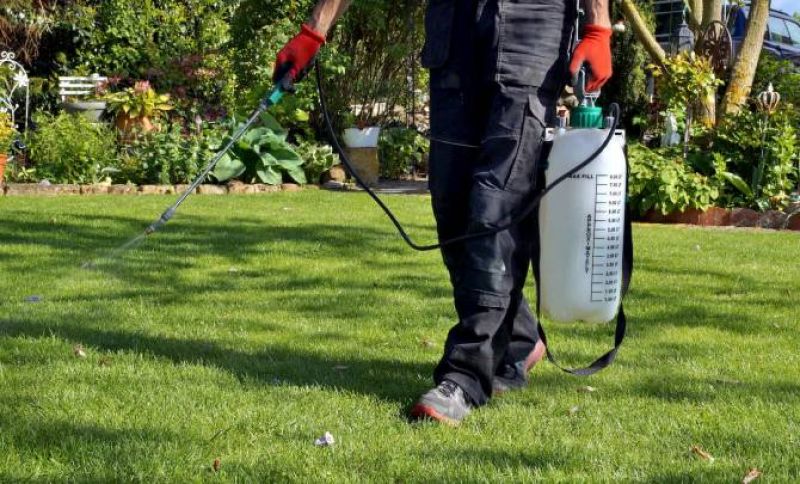 affordable weed control in new-tulsa ok 1
