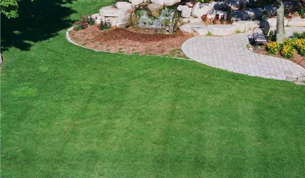 weed control new-tulsa ok results 3