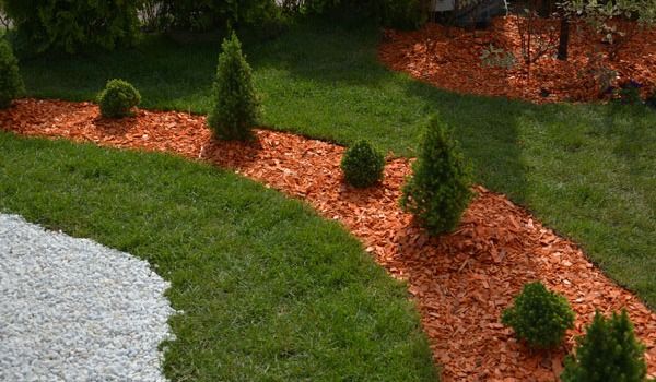 tree shrub care salina ok results 1