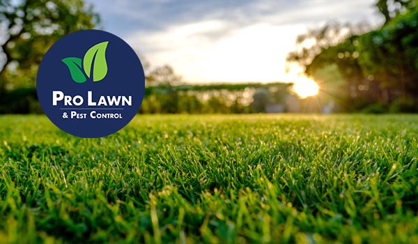 1 For Lawn Care In Tulsa Ok With 50, Prolawn Turf Landscape Management Inc